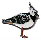 Kiebitz Pin - Reinerlös BirdLife